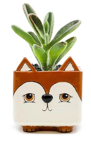 Animal Planter Paint Your Own Pottery Bisqueware